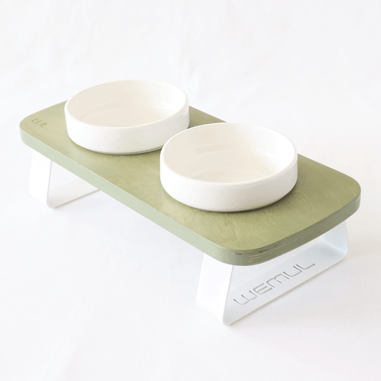 Comedero elevado para perros Pudú en ángulo, base de abedul con detalle verde y cuenco de cerámica blanca.