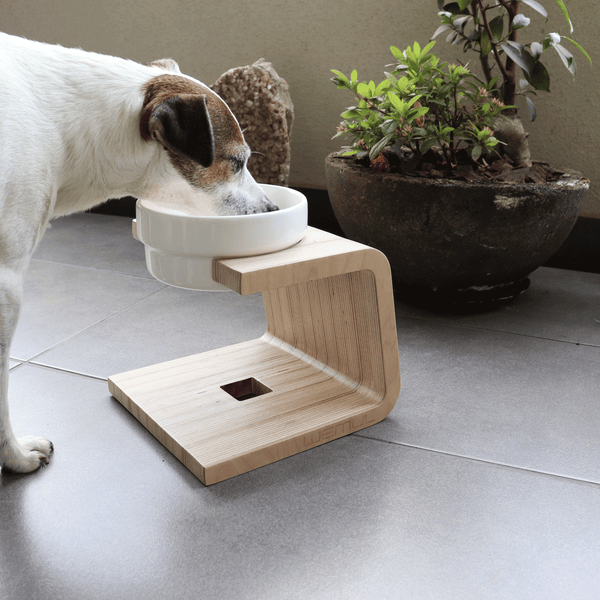 Perro comiendo en su comedero en altura Wemul Tepa, base de contrachapado de abedul natural y cuenco de cerámica.